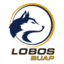 Lobos BUAP